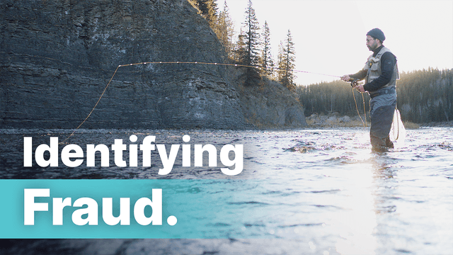 Synthetic Fraud & Identifying Global Fraud Patterns